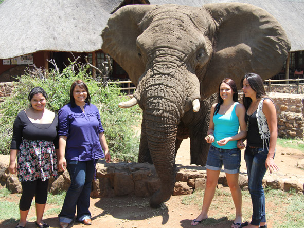Sharlaine Assur - interacting with one of the huge elephant bulls at Pilanesberg National Park